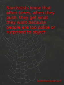 narcweb2